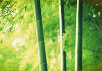 辟谷不是治病，而是唤醒人的本能的自愈力